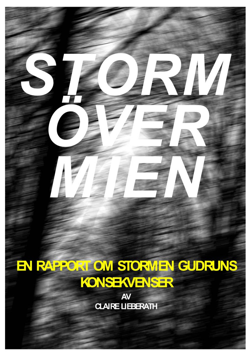 Storm över Mien